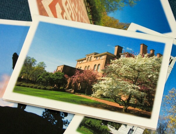 Note Card Collection, Set of 4